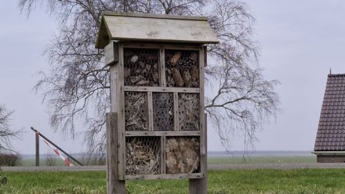 Insecten hotel