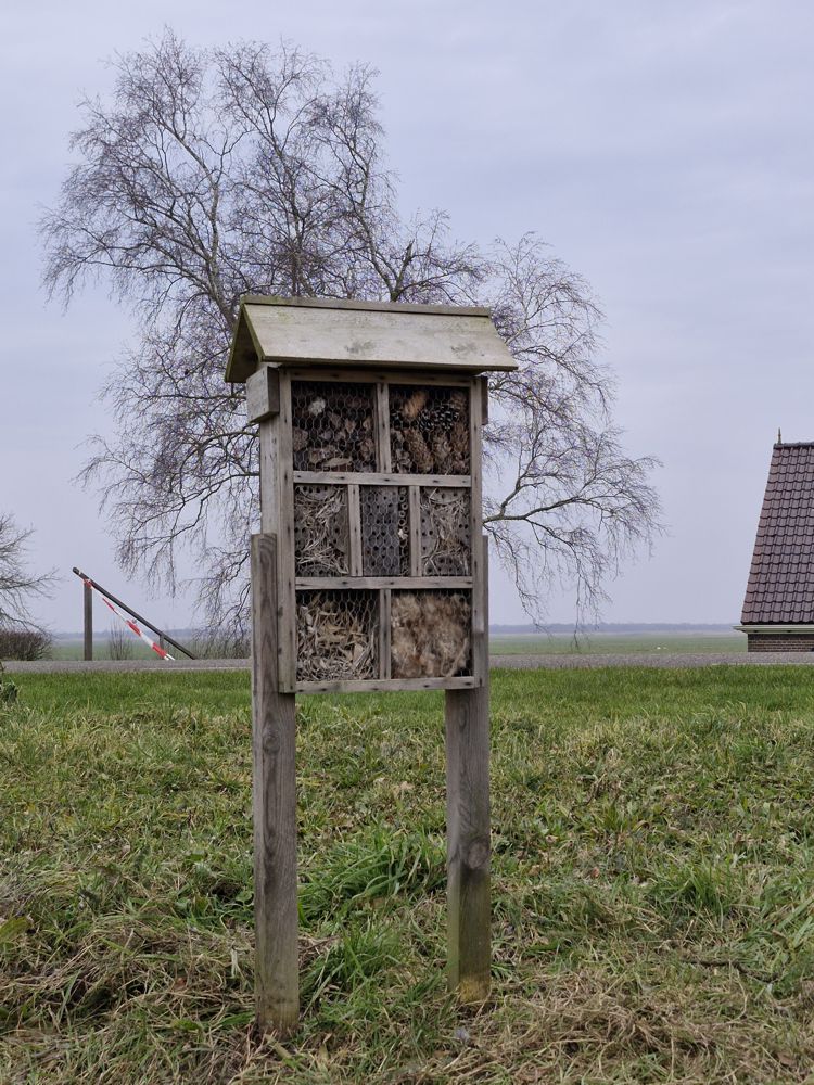 Insectenhotel 7 2 2025 Kerkbuurt dijk